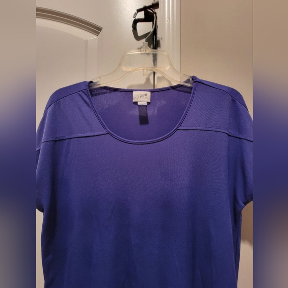 Bundle of Two Jaclyn Smith Women's Red and Royal Blue Short Sleeve Tees - Picture 3 of 5